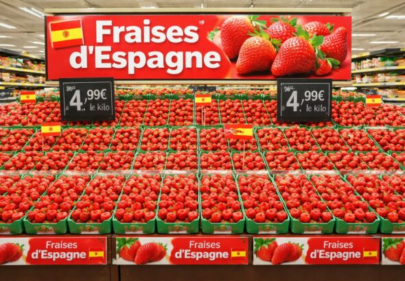 fraises-d-espagne-en-vrac