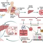 cycle-pfas-polluants-eternels