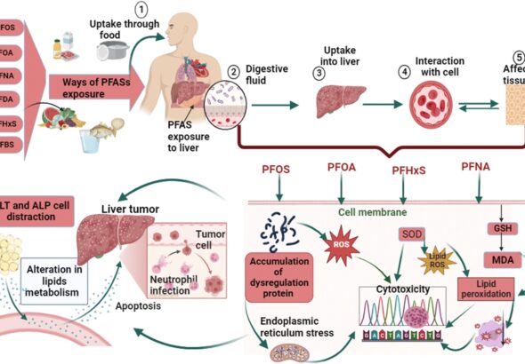 cycle-pfas-polluants-eternels